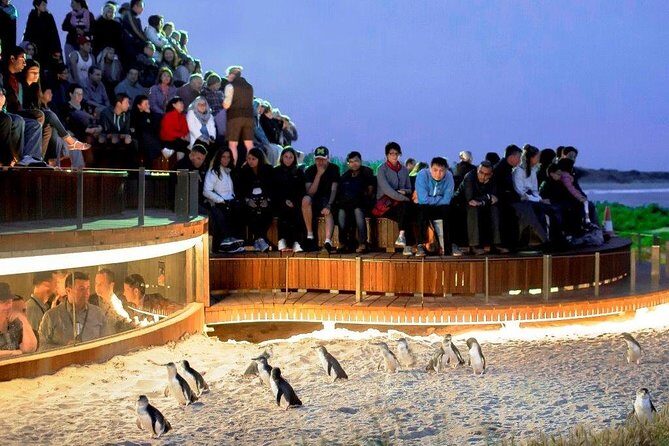 1 Day Exclusively Private Tour Of Phillip Island & The Penguin Parade - Key points to know before you go