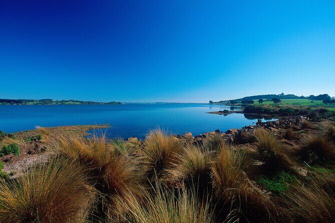 1 Day Exclusively Private Tour Of Phillip Island & The Penguin Parade - Quick scenic stops: the small moments you’ll still remember