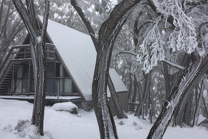 1 day Lake mountain snow tour - Marysville Lolly Shop: town break plus a practical gear option
