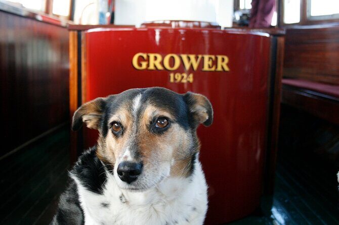 1 Hour Sight seeing Melbourne River Cruise on historic vessel - Food and Drinks: BYO Nibbles Without the On-Board Stress