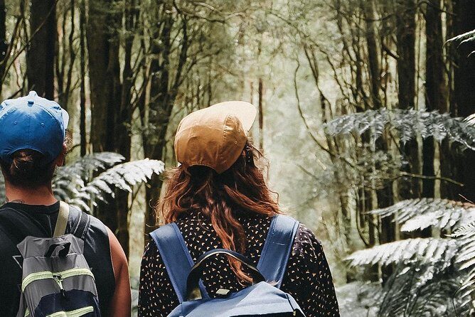 12 Apostles, Otways & Great Ocean Road Day Tour - Small Group - Snacks, lunch, and what $157.08 really buys you