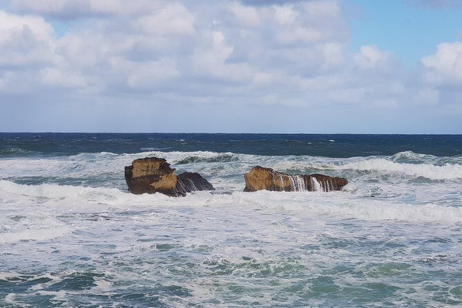 2 Day Great Ocean Road Tour and Platypus paddle - Price and Value: Is $484.14 Worth It?