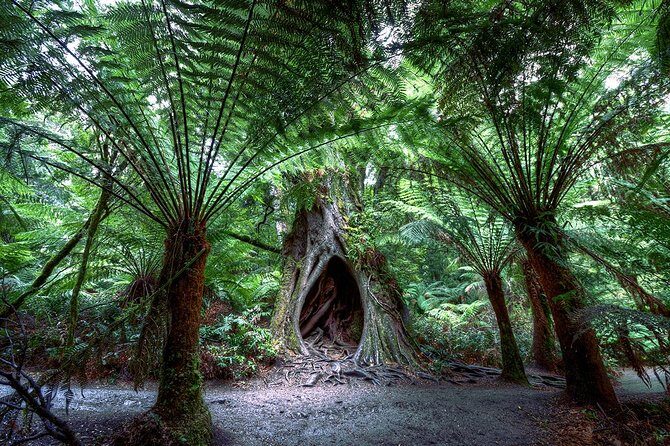 2-Day Melbourne to Adelaide Tour via Great Ocean Road Grampians - What to pack (so you enjoy every stop)