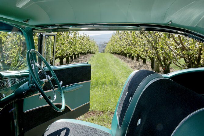'56 Chevrolet 6-hr Yarra Valley Classic Car Private Tour (4 ppl) - Why a 1956 Chevrolet feels right for the Yarra Valley