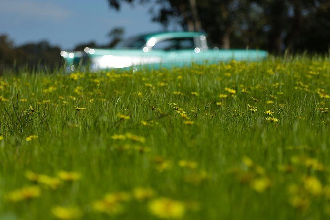 '56 Chevrolet 6-hr Yarra Valley Classic Car Private Tour (4 ppl) - Four hours in the valley: pacing that keeps the day fun