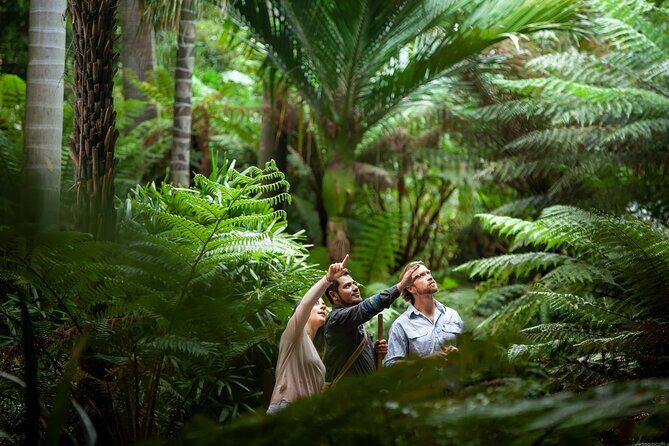 Aboriginal Heritage Walk - Royal Botanic Gardens Victoria, Melbourne Gardens - Key Highlights You’ll Actually Care About