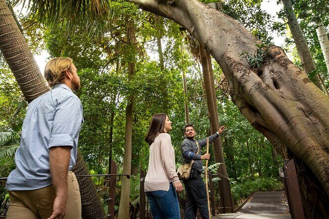 Aboriginal Heritage Walk - Royal Botanic Gardens Victoria, Melbourne Gardens - A 90-Minute Aboriginal Heritage Walk in Melbourne Gardens