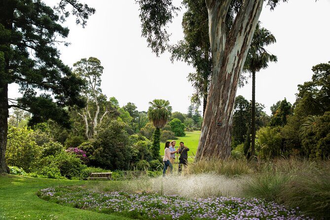 Aboriginal Heritage Walk - Royal Botanic Gardens Victoria, Melbourne Gardens - Hydration Included: Lemon Myrtle Tea Is More Than a Drink