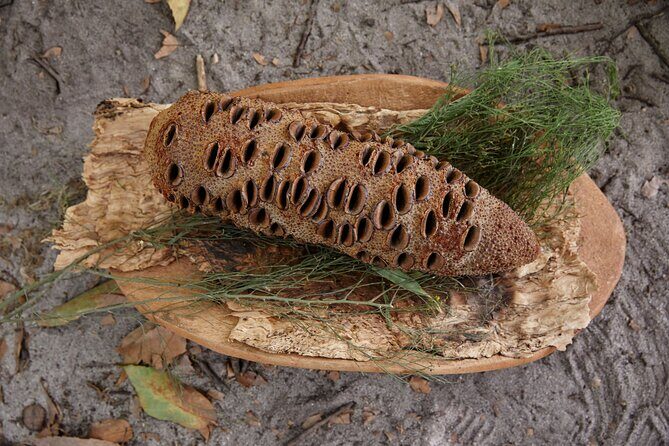Aboriginal Heritage Walk - Royal Botanic Gardens Victoria, Melbourne Gardens - Practical Tips Before You Go (So Your Day Stays Easy)