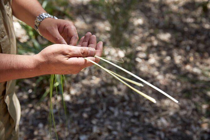 Aboriginal Heritage Walk - Royal Botanic Gardens Victoria, Melbourne Gardens - Staying Grounded with an Aboriginal Guide (Den, Jacobi, and More)