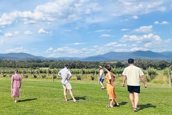 Amazing Yarra Valley Wine Tour + Chocolate, Farm Fresh, Gin - Yering Station: iconic Yarra vibes and a classic winery stop