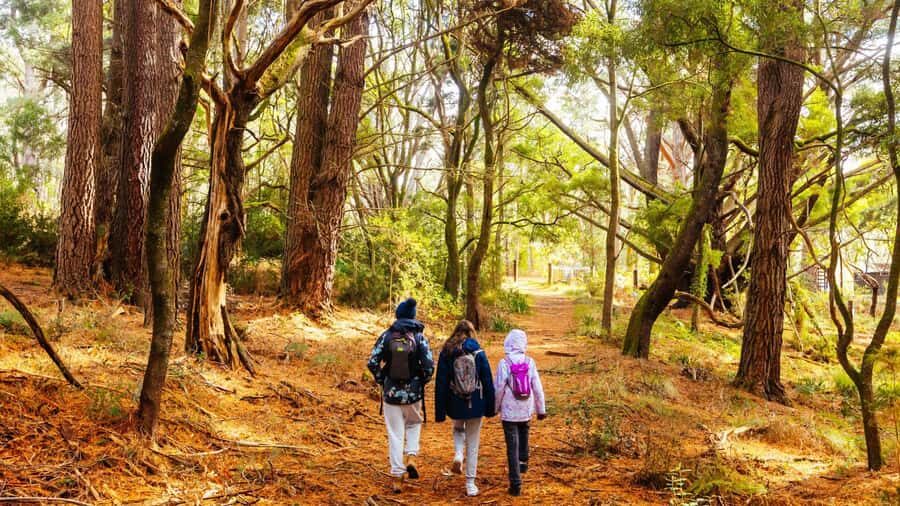 Best of Melbourne: Private Walking Tour with a Local - Coffee culture and hidden bars: you get addresses, not lectures