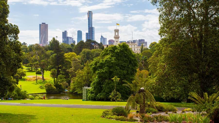 Best of Melbourne: Private Walking Tour with a Local - Who this tour fits best (and who may feel underfed)