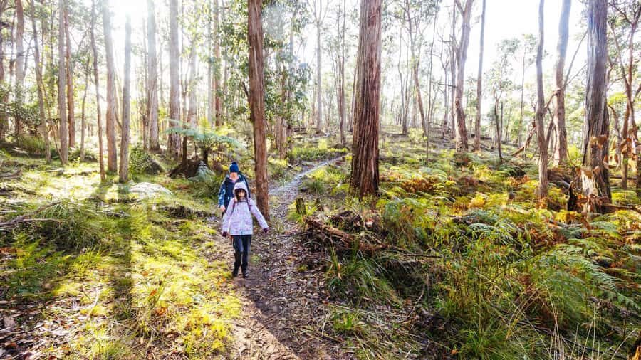 Best of Melbourne: Private Walking Tour with a Local - Practical details that affect your day