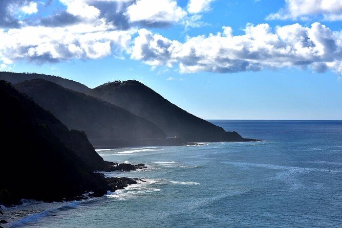 Boutique Great Ocean Road, wildlife and Rainforest Experience - Key highlights you’ll notice right away