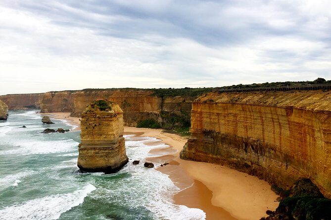 Boutique Great Ocean Road, wildlife and Rainforest Experience - Koalas, whales (seasonal), and the Apollo Bay fish-and-chips lunch
