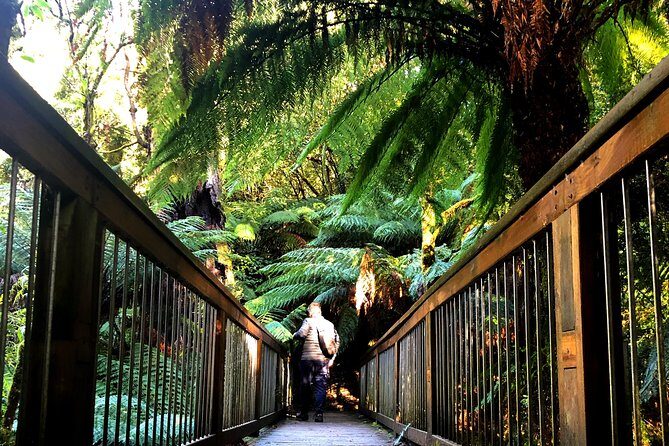 Boutique Great Ocean Road, wildlife and Rainforest Experience - Price and value: why $178.59 can work out better than it looks