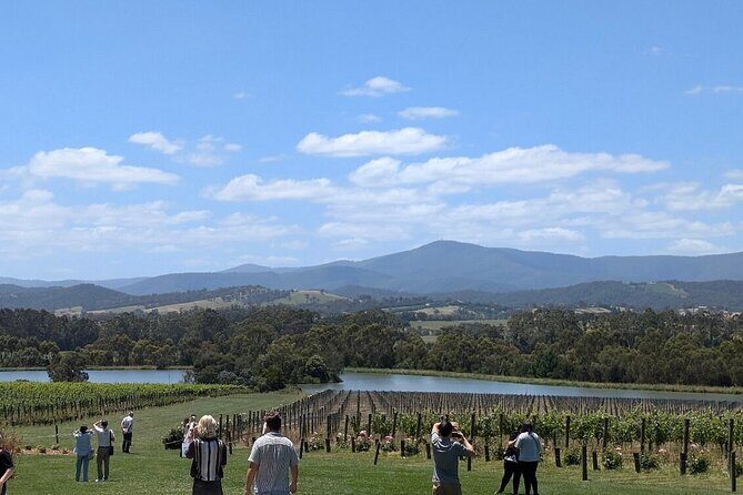 Cruise Ship Friendly Yarra Valley Wine Tour with Port Pickup - Cruise-ship friendly morning: Station Pier pickup and timing
