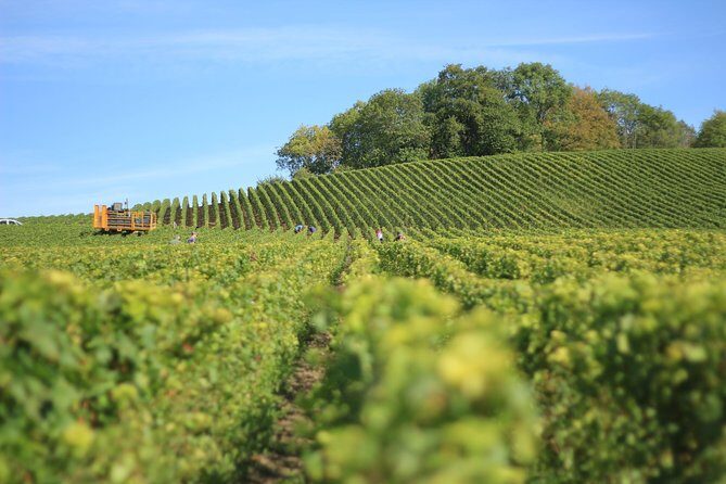 Customized private winery day tour in Yarra Valley at your own choices - Why a Customized Yarra Valley Day Feels Like Yours