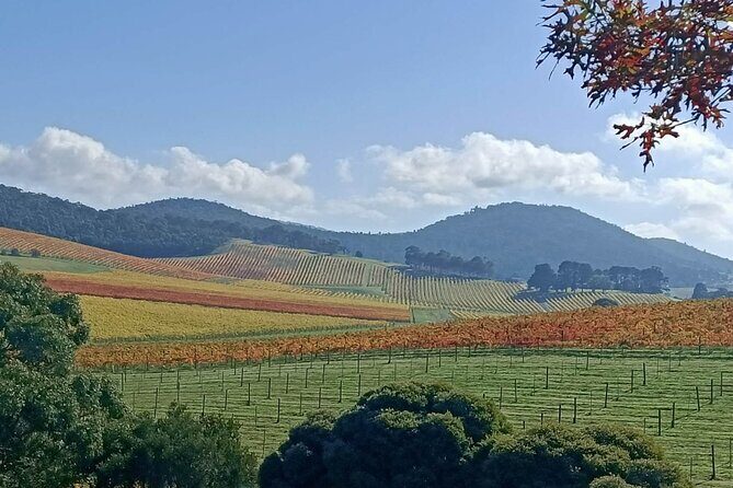 Customized private winery day tour in Yarra Valley at your own choices - Starting Easy in Melbourne: Pickup That Actually Helps