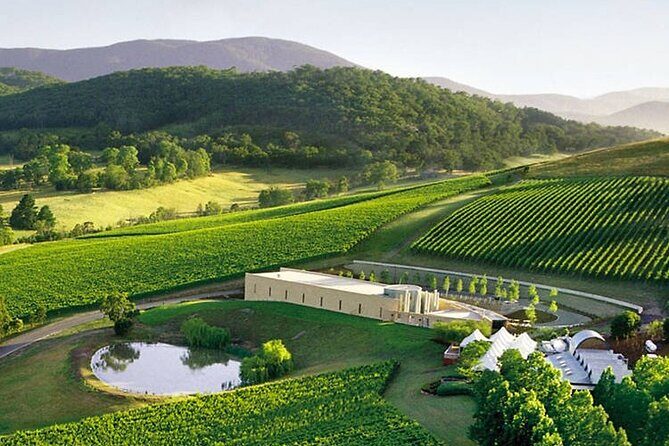 Customized private winery day tour in Yarra Valley at your own choices - Your Guide Makes It Better (And Doug’s the Name to Know)