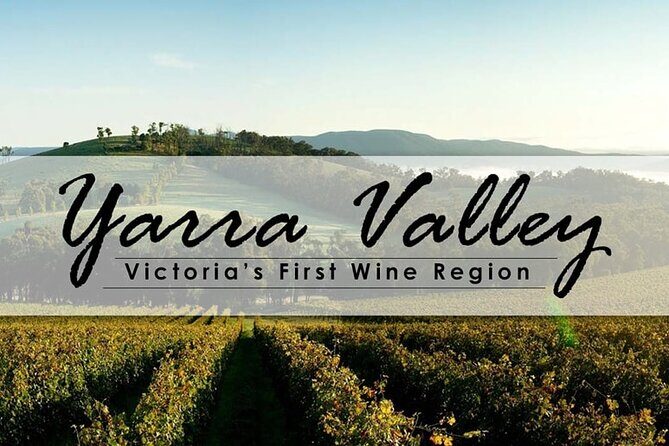 Customized private winery day tour in Yarra Valley at your own choices - Price and Value for a Private Group (Up to 11)