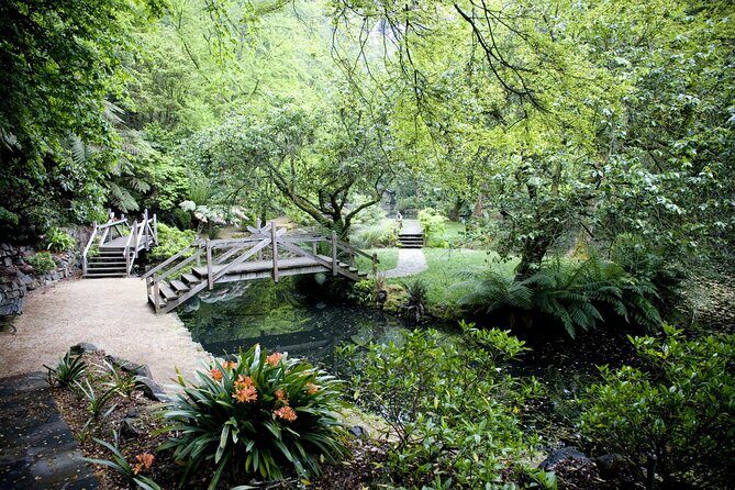 Dandenong Ranges Private Day Tour - The Private Guide Factor: You Get Time, Not Just Stops