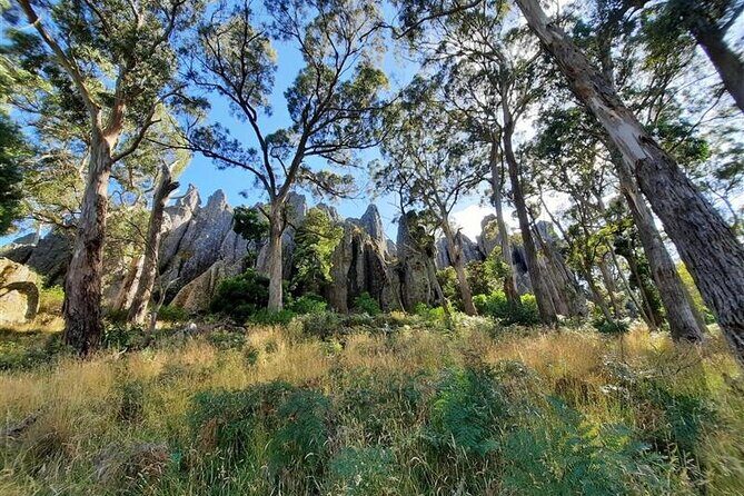 Daylesford Goldfields Track Walking and Wellness Experience - Why this trip feels like walking with training wheels