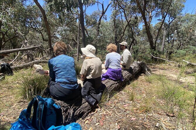 Daylesford Goldfields Track Walking and Wellness Experience - Day 2: Hepburn Springs Dry Diggings trail to Chocolate Mill