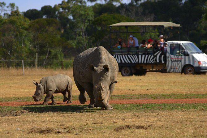 Deluxe Safari Adventure at Werribee Open Range Zoo - excl. entry - Key points before you go