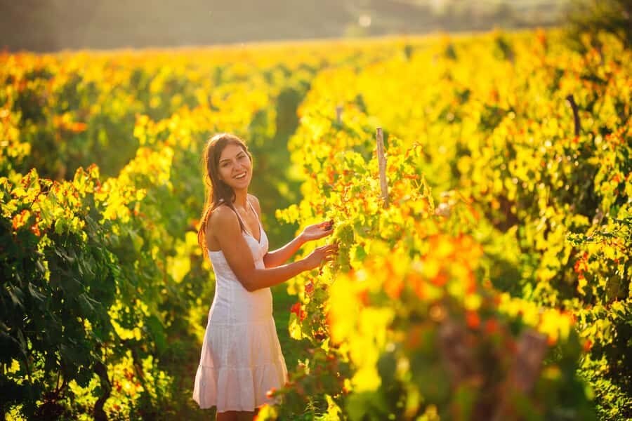 Experience Yarra Valley: A Tailored private Wine Journey - A private Yarra Valley plan that adapts to your tastes