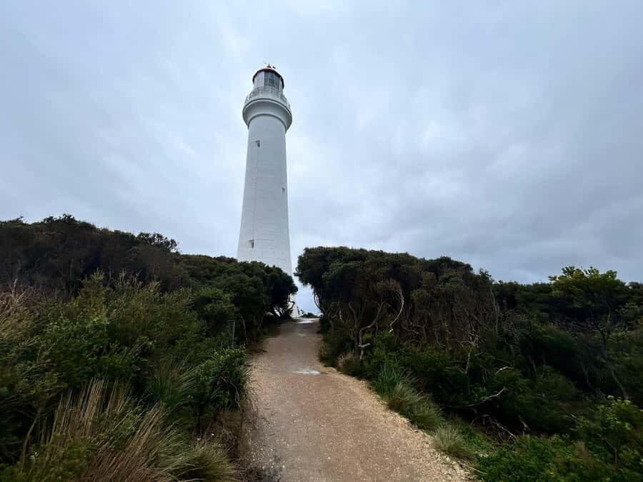 From Melbourne: 12 Apostles & Great Ocean Road Private Tour - Key highlights that shape the day