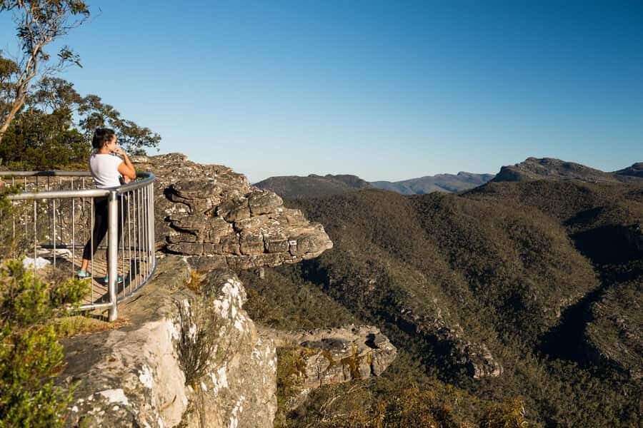 From Melbourne: 2-Day Great Ocean Road & Grampians Escape - Otways rainforest: the walk that gives you a break from the road