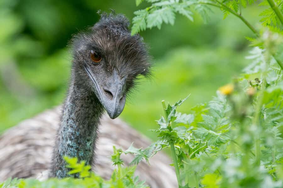 From Melbourne: 3-Day Great Ocean Road Grampians Tour - Who this tour suits best