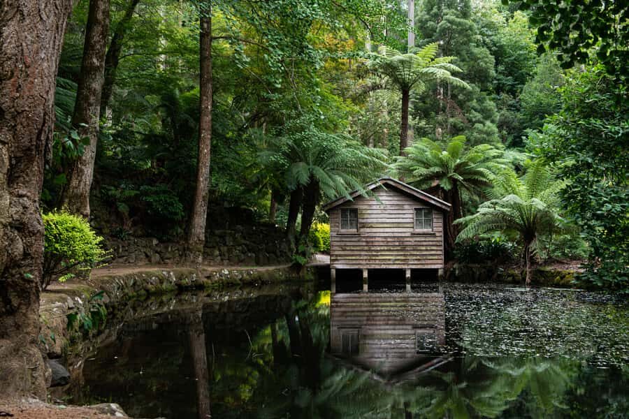 From Melbourne: Dandenong Ranges Private Day Tour - Why the Dandenong Ranges Feel Like a Quick Reset From Melbourne