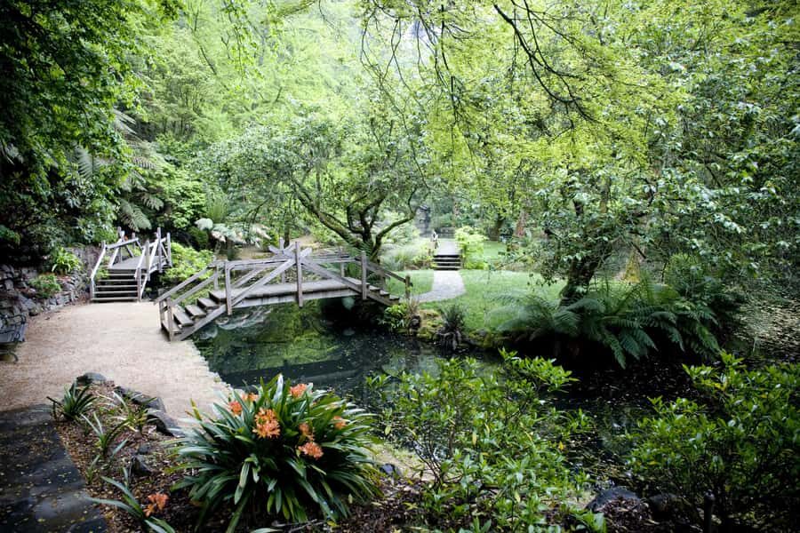 From Melbourne: Dandenong Ranges Private Day Tour - The Eucalyptus and Fern Tree Forest Walk: Easy Steps, Big Trees, Birds