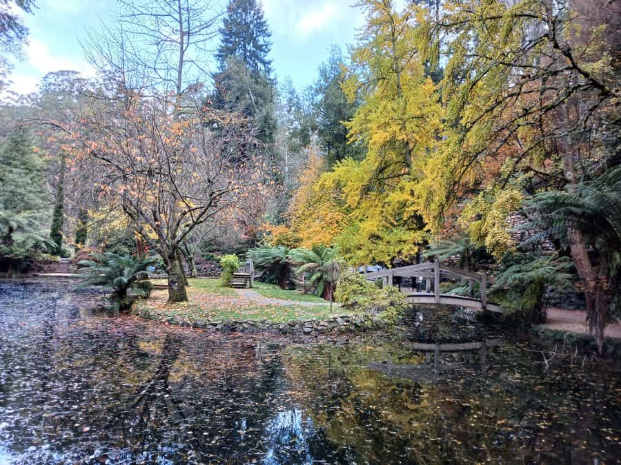 From Melbourne: Dandenong Ranges Private Day Tour - Lunch at a Cosy Restaurant: What’s On You (and What Helps)