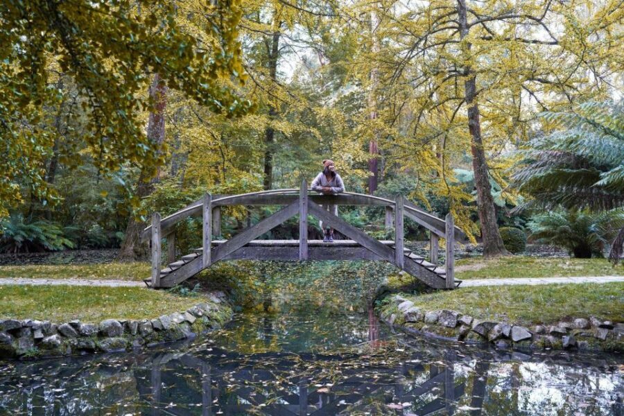 From Melbourne: Dandenong Ranges Private Day Tour - Dandenong Ranges Botanic Gardens and the Award-Winning Australian Garden