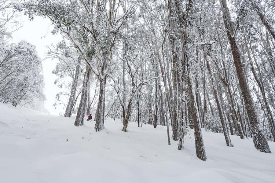 From Melbourne: Day Tour to Mt Buller with Snow Clothes - Premium coach value: what you’re paying for (besides just a ride)
