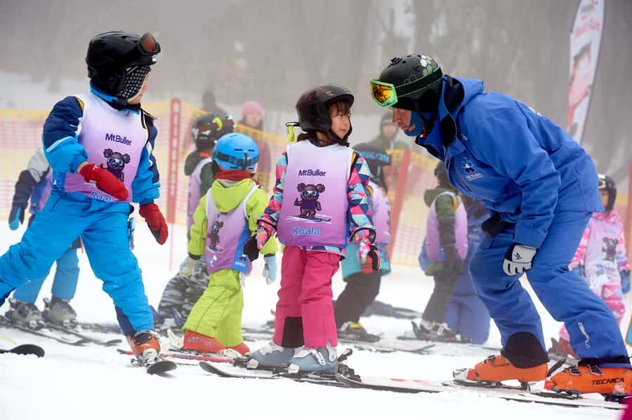From Melbourne: Day Trip to Mt Buller by Premium Tour Coach - The uphill drive: what to do during the 3.5-hour leg