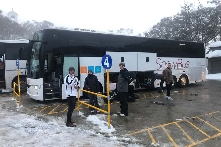 From Melbourne: Day Trip to Mt Buller by Premium Tour Coach - Price and value: is $105 reasonable for a one-day Mt Buller trip?