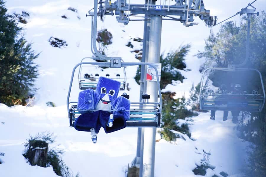 From Melbourne: Day Trip to Mt Buller by Premium Tour Coach - Premium coach pickup at Southern Cross: start here on purpose