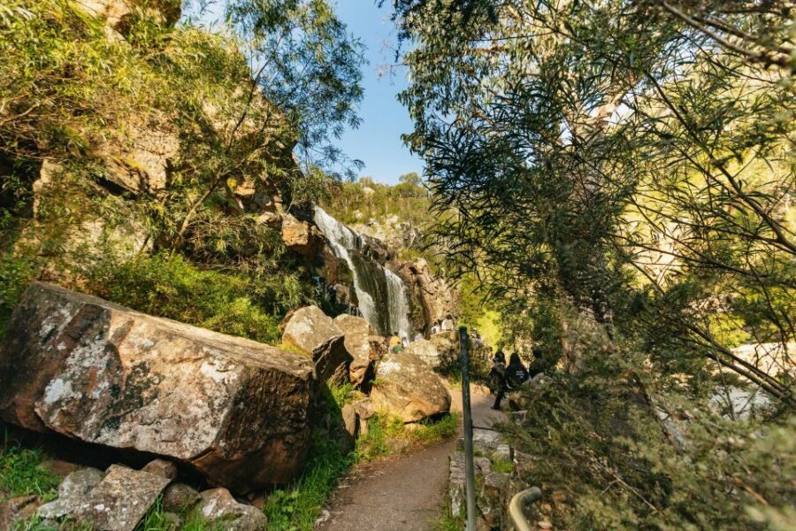From Melbourne: Grampians National Park Group Tour - Halls Gap Lunch Break: The Kangaroo and Bird Window