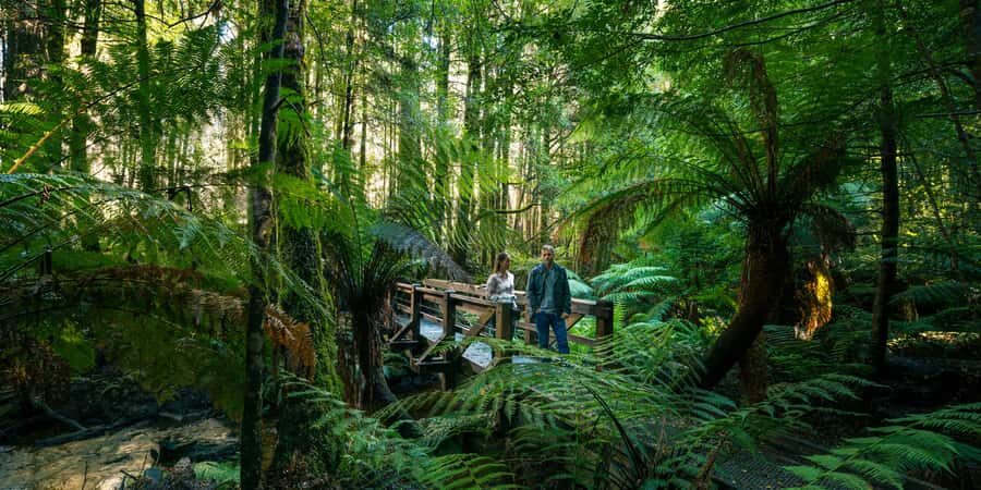 From Melbourne: Great Ocean Road & 12 Apostles Full-Day Tour - Loch Ard Gorge: Cliffs, Shipwreck Stories, and Dolphin Hopes