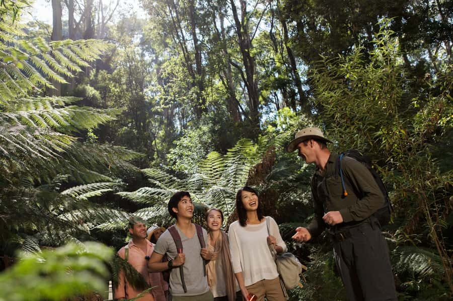 From Melbourne: Great Ocean Road, 12 Apostles & Koalas - Key takeaways before you go