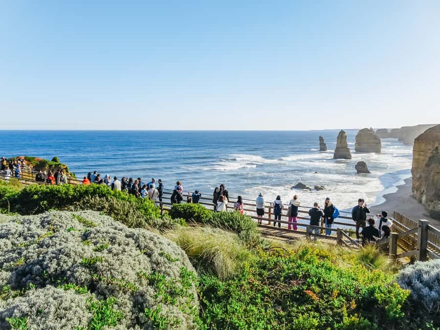 From Melbourne: Great Ocean Road, 12 Apostles, Wildlife Tour - Great Ocean Road hits different when wildlife is the main plot