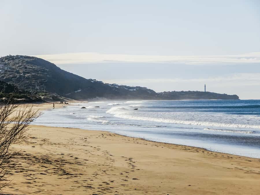From Melbourne: Great Ocean Road, 12 Apostles, Wildlife Tour - Pole House and the Great Ocean Road photo checklist