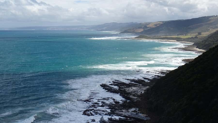 From Melbourne: Great Ocean Road, 12 Apostles, Wildlife Tour - Rainforest walk for towering trees: the quiet break people remember