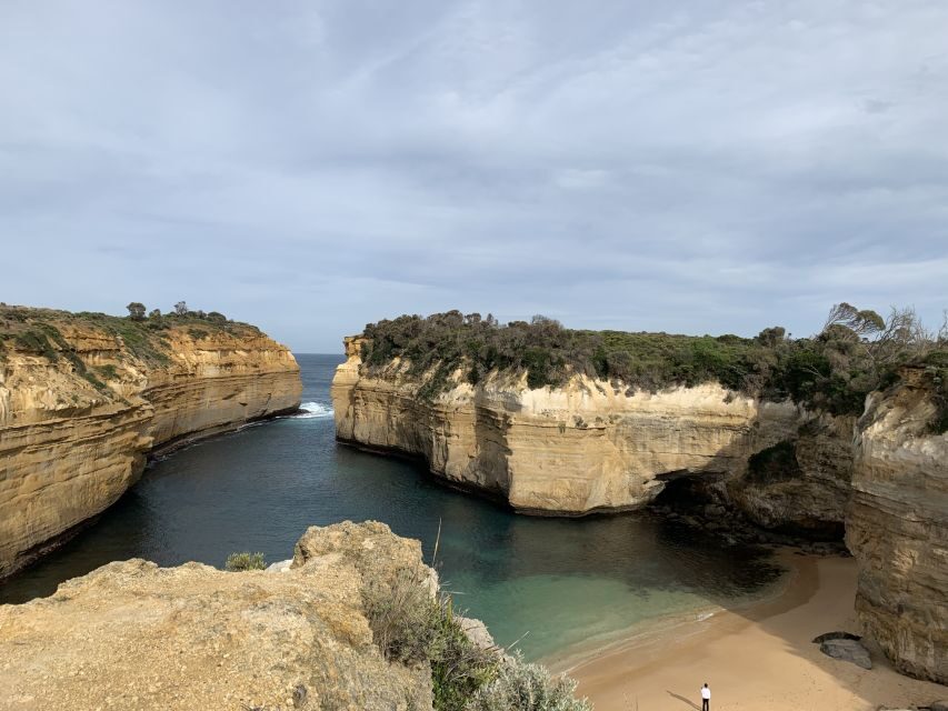 From Melbourne: Great Ocean Road Day Tour - Wildlife spotting: how your guide makes the difference