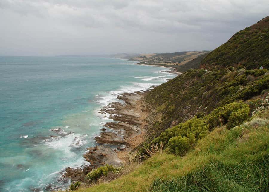From Melbourne: Great Ocean Road Day Tour - The guide experience: stories, songs, and calm confidence